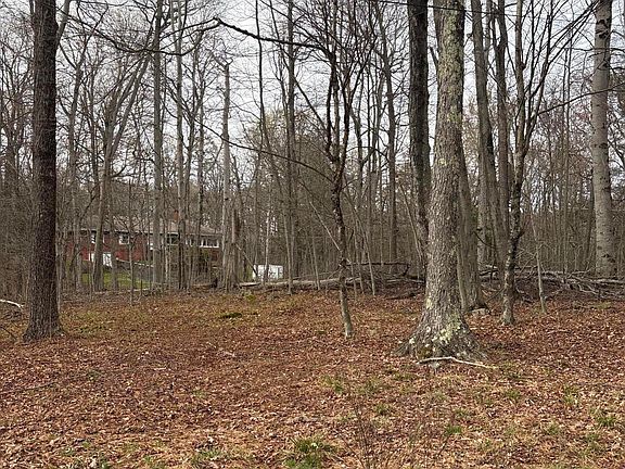5th image of LOT 733 Mount Snow Cir