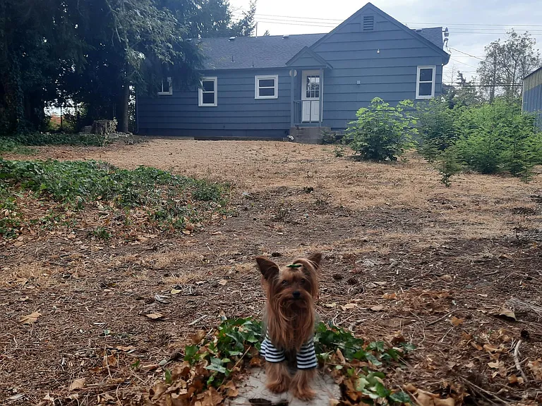Ma-hoo-sive fenced yard!