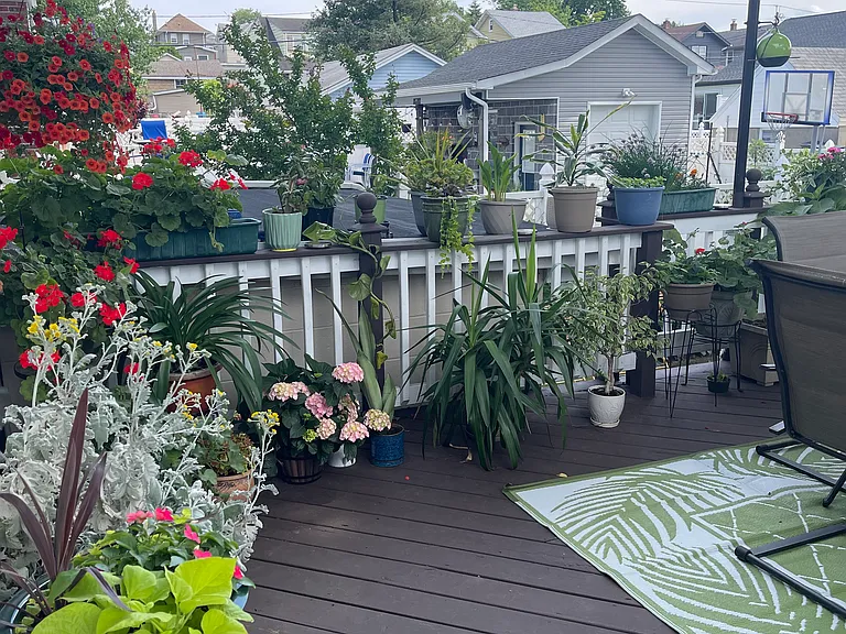 Backyard Deck NYC Skyline View at night
