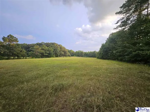 0 Morrison Rd, Hartsville, SC 29550