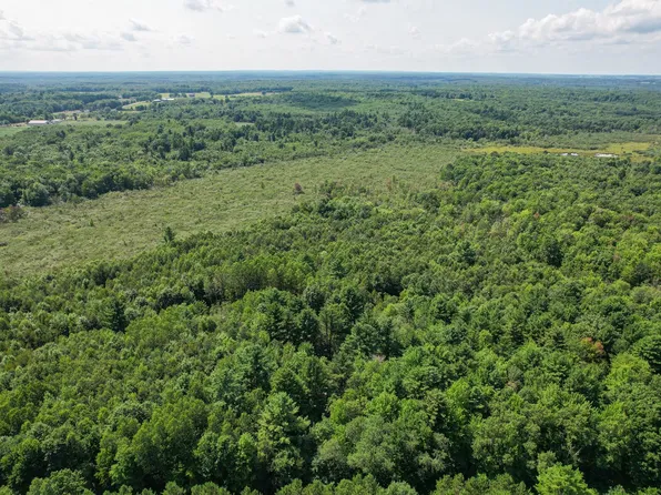 N11449 Tieman Ave, Thorp, WI 54771