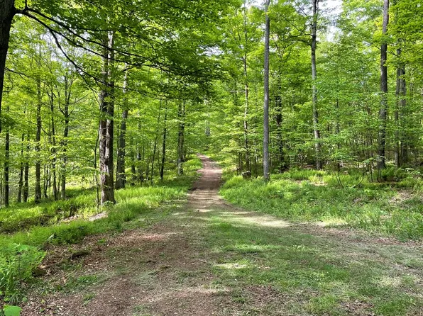 0 Mystery Mountain Ln, Coudersport, PA 16915