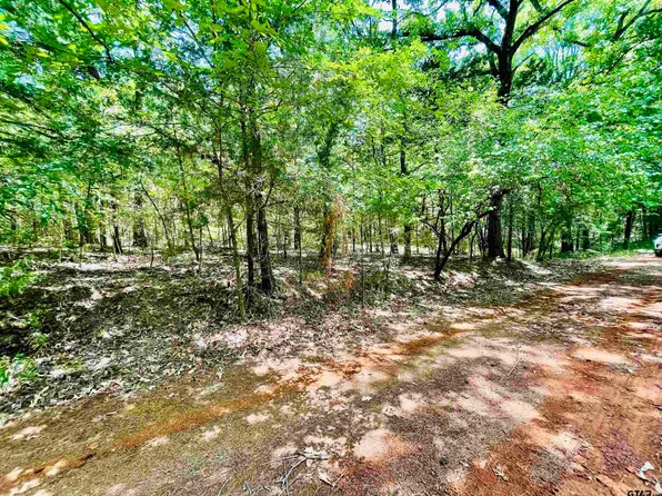 Private Road 6671, Hawkins, TX 75765