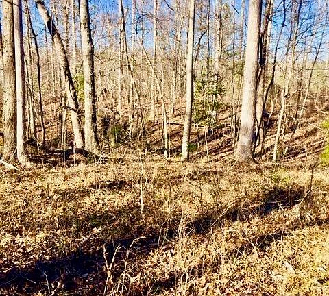 3rd image of Lot 43 Yeats Creek Road