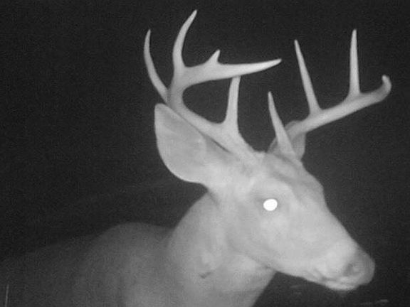 2nd image of 0 Frazier Hill Rd