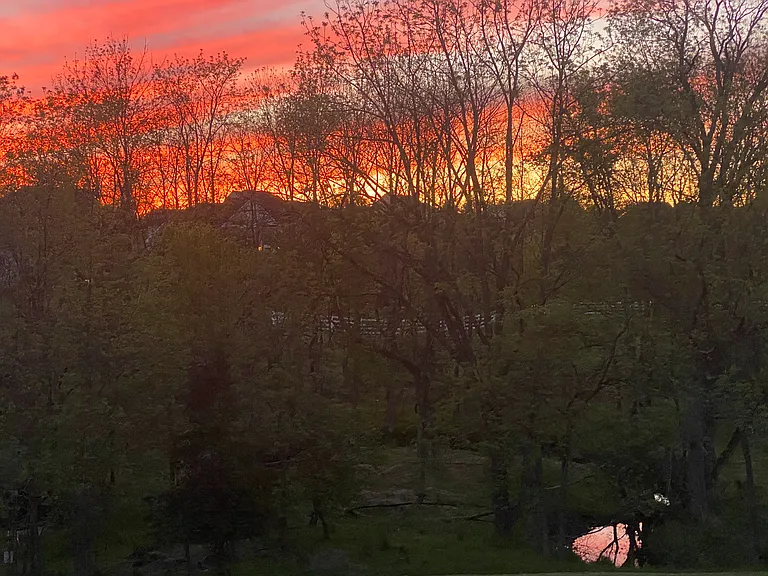 2 Old Mill Ct — Photo 19
