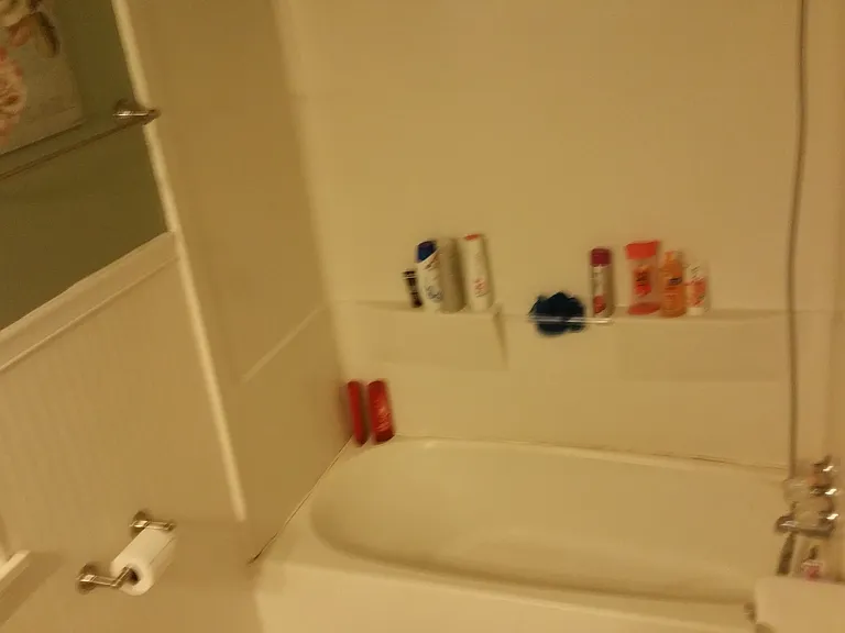 433 Water St SW — Photo 8