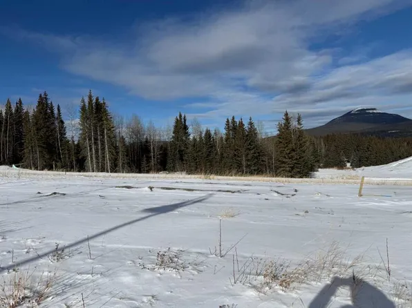 432 Lily Ave, Nordegg, AB T0M 2H0