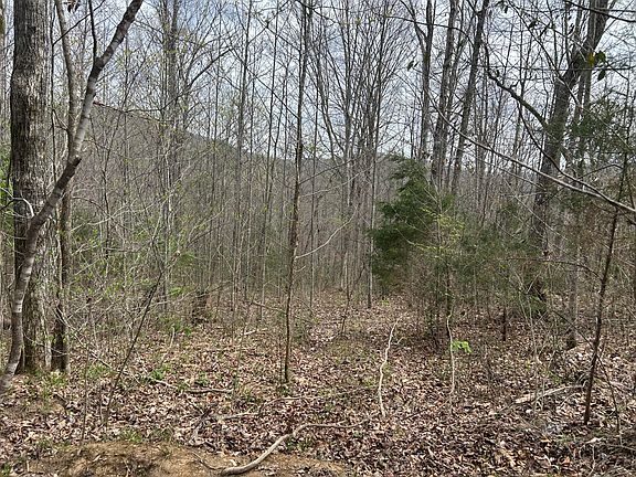 3rd image of 2000B Green Ford Rd