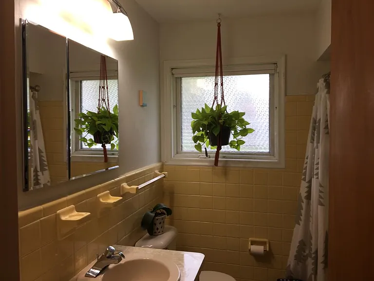 1517 Catalina Dr — Photo 10