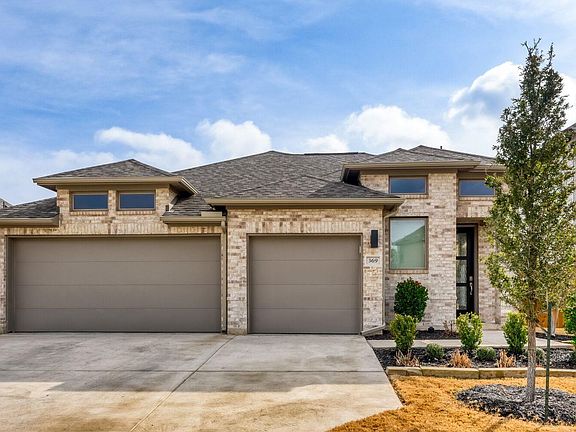 2nd image of 369 Prickly Poppy Loop