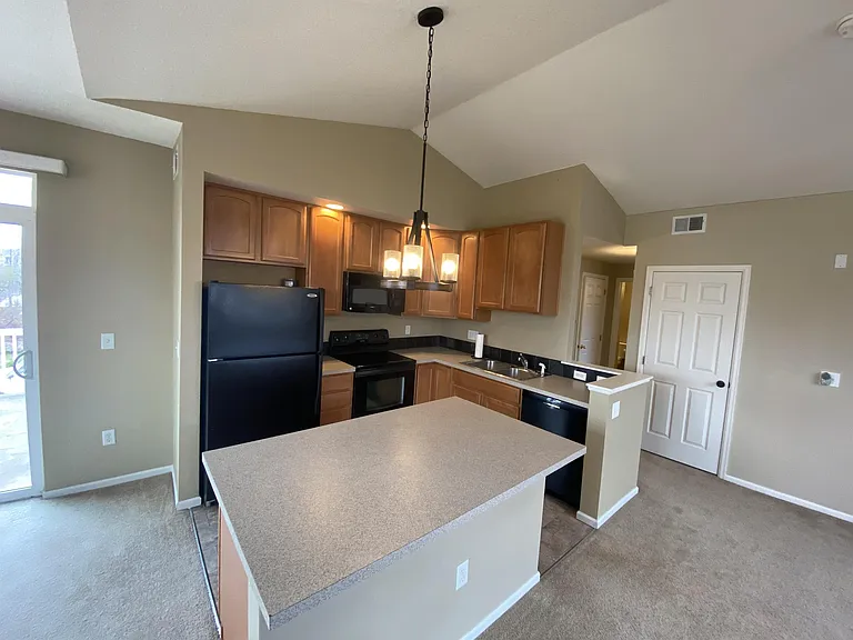 2115 Grays Peak Dr #203-1-1 — Photo 11