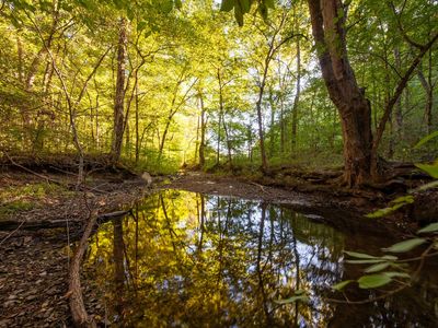 0 Sugar Ridge Rd, Spring Hill, TN, 37174
