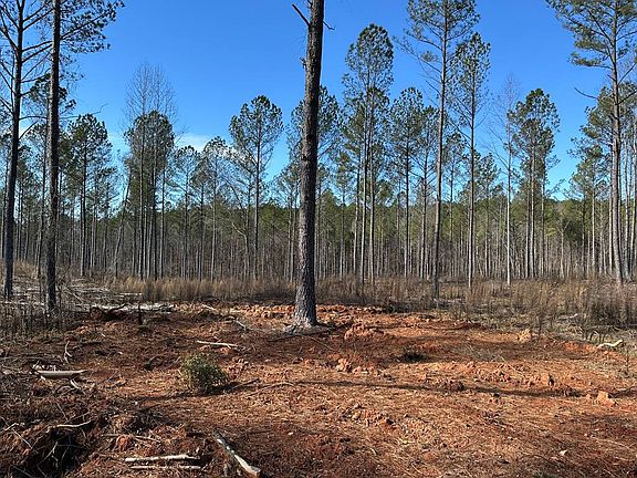 4th image of 3-002D Butler Bridge Rd