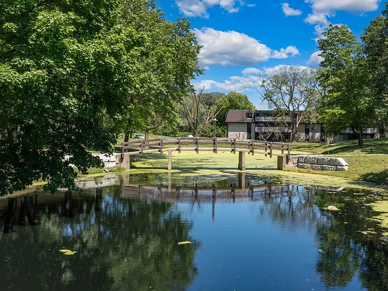 Pond