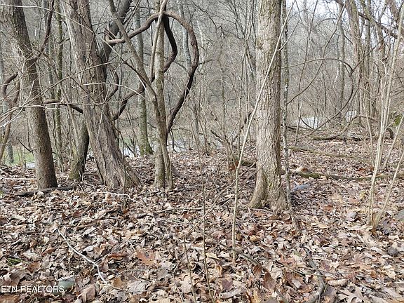2nd image of 4266 Miser Station Rd