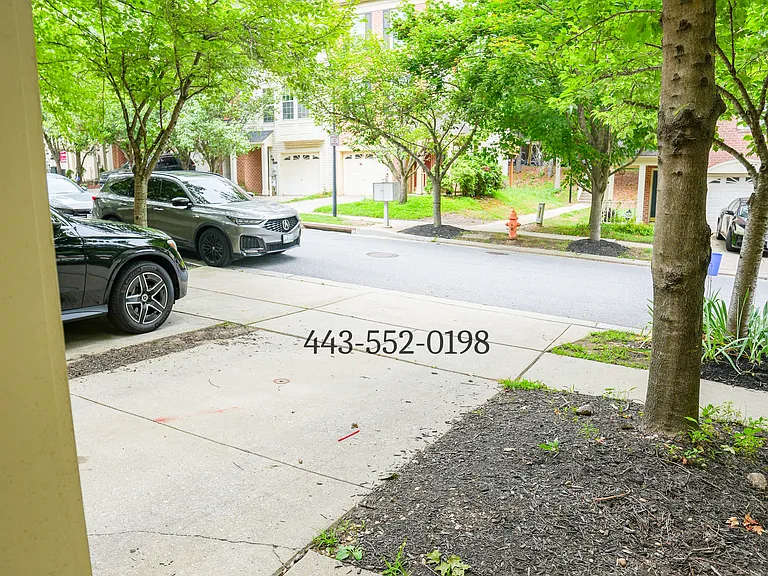 10835 Will Painter Dr — Photo 19