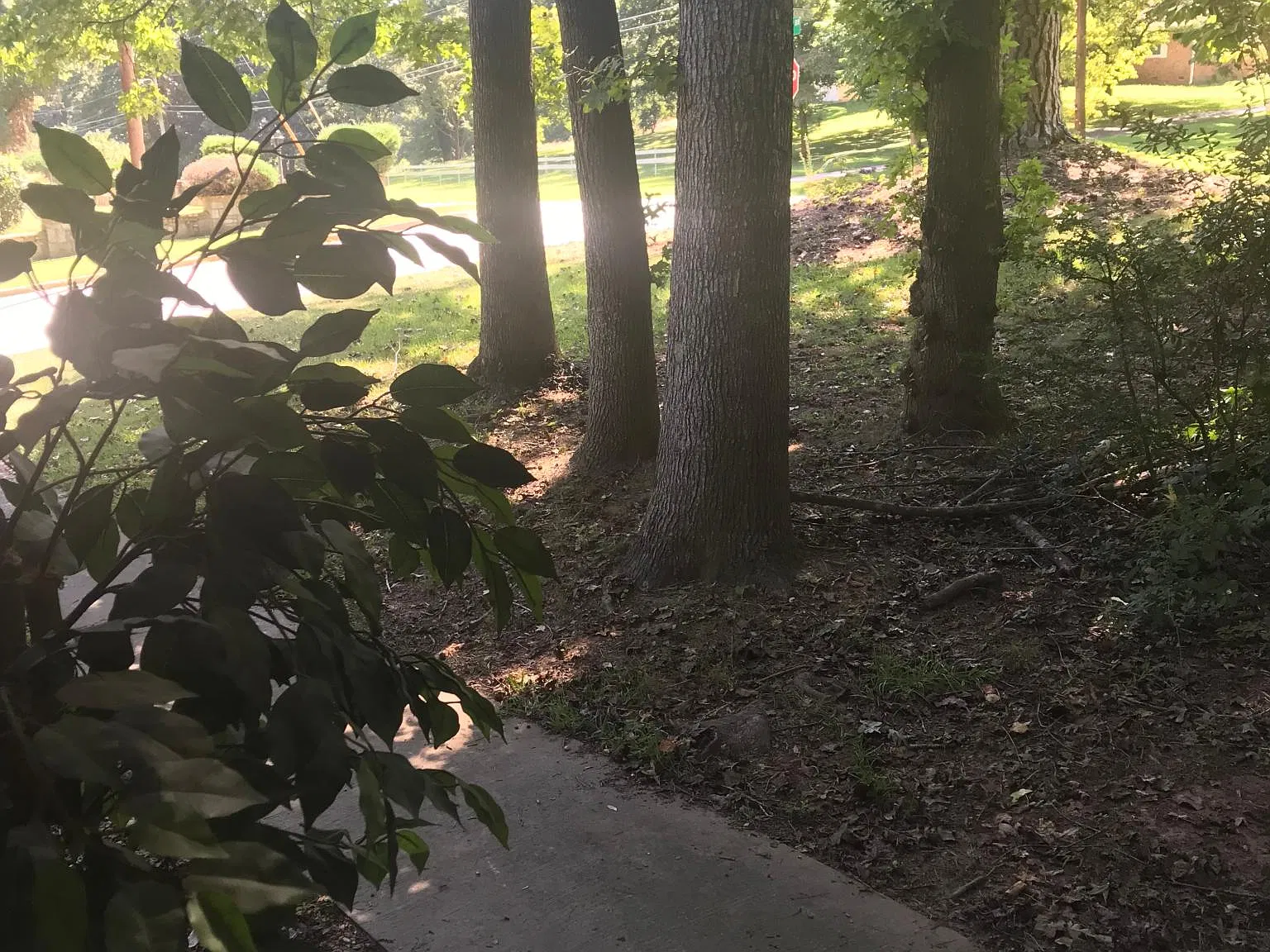 5 bed, $2,050 — Photo 3