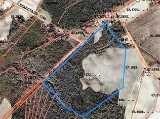 709 N Nc Highway 41, Pink Hill, NC 28572