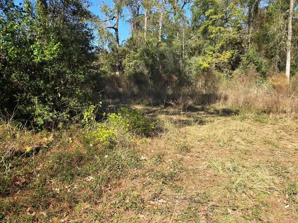 10287 Wanda Ln, Montgomery, TX 77316