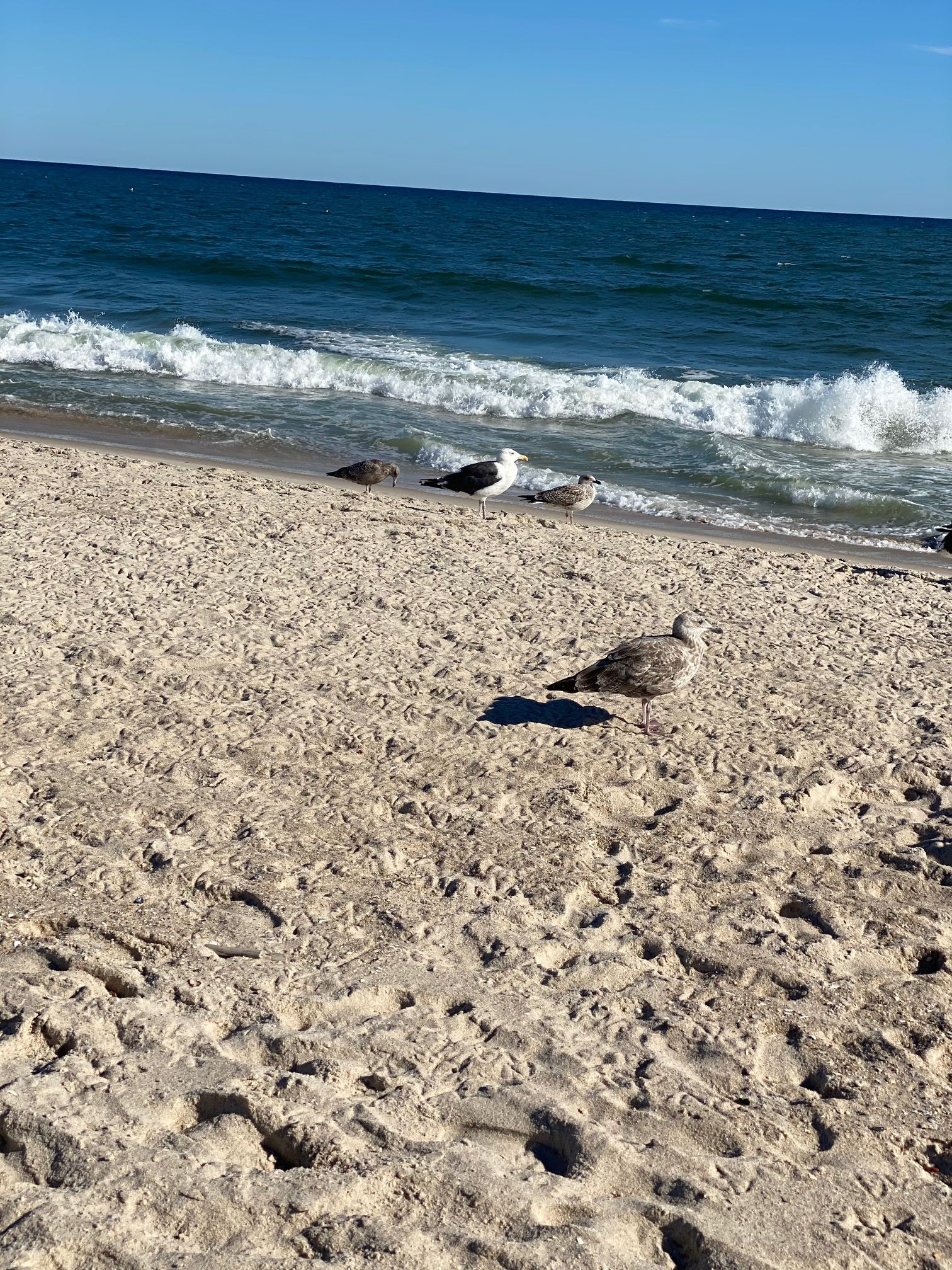 253 Dune Rd Yardarm Unit 69E, Westhampton Beach, NY 11978 Out East