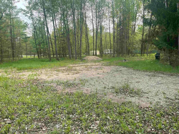 5294 Kings Way, Gladwin, MI 48624