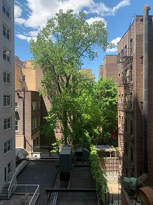 Sold by Engel & Völkers New York City | media 6