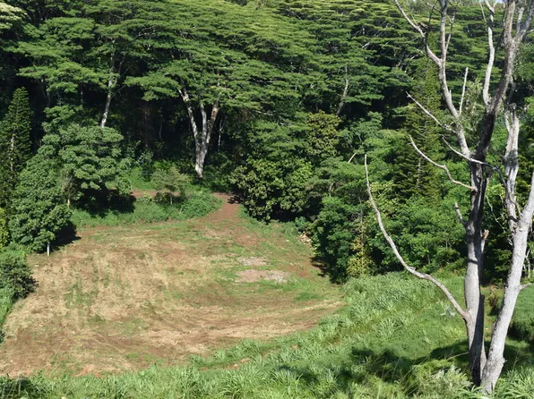 3200 WAWAE RD, Kalaheo, HI 96741