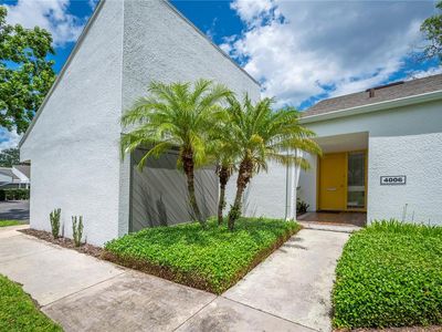 4006 Cypress Ln #4006, Tampa, FL, 33618