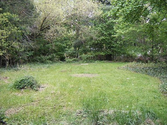 You can only see half the yard here! WOW! 