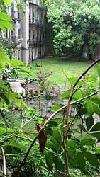 Rented by Town Residential