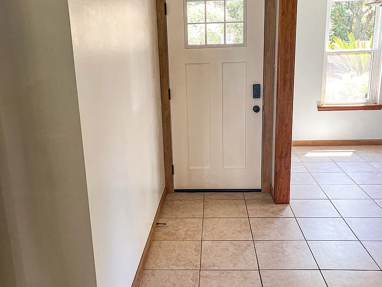 Entrance door