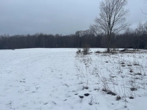 Keith Rd, Brethren, MI 49619