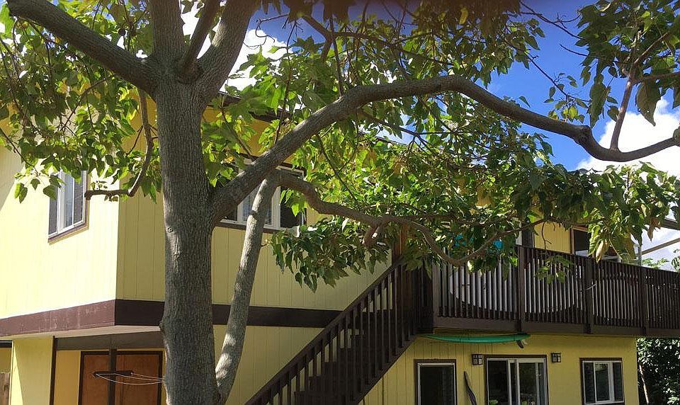 ~East side, showing the outside entrance to 2nd floor apartment