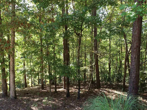 14 Lake Geneva #14, Wedowee, AL 36278