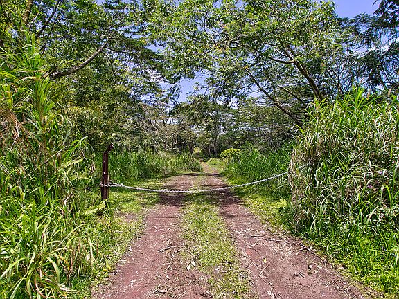 4th image of Pahoa Kalapana Rd Lot 2-A-7