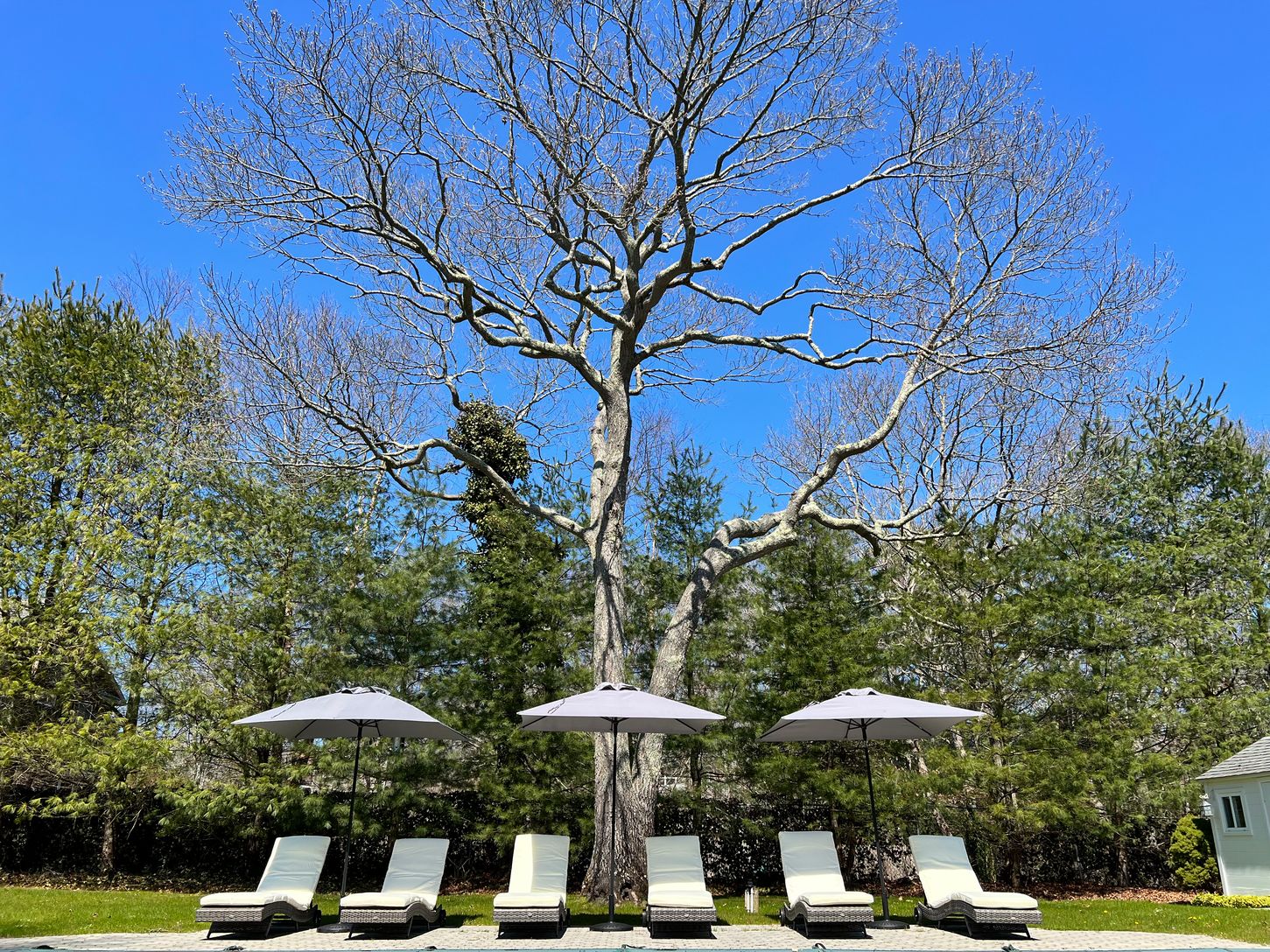   pool lounge deck with 6 lounge chairs and 3 umbrellas.