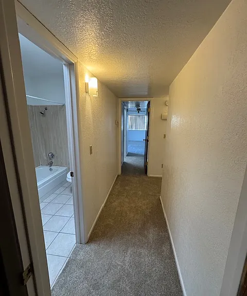 264 E Scheibe Way — Photo 11