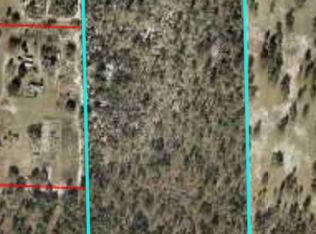 0 NE 40th St, Williston Highlands, FL 32696