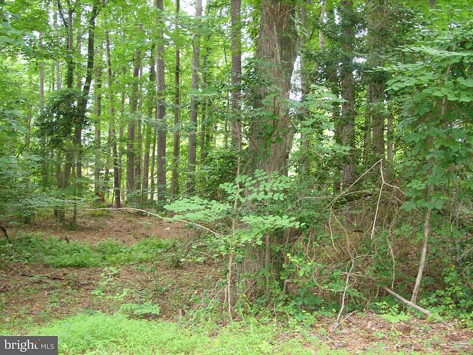 2nd image of 857 Plains Rd