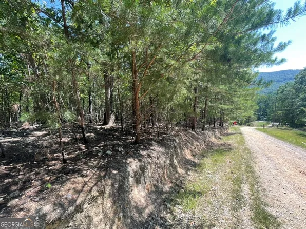 0 Sloppy Floyd Lake Rd Lot 5, Summerville, GA 30747