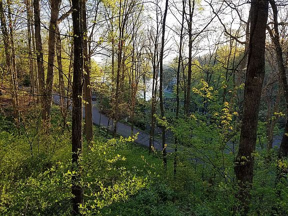 View from deck in spring