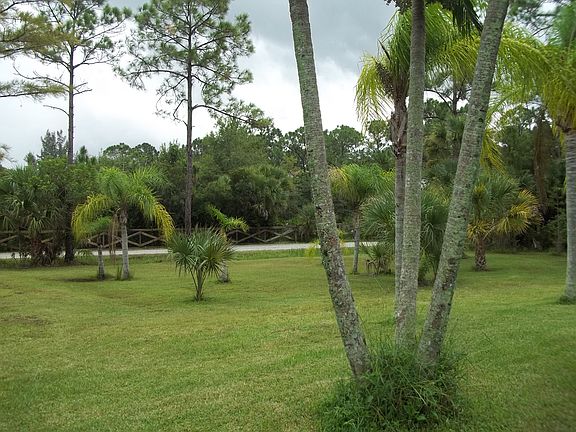 Palm tree lined yard
