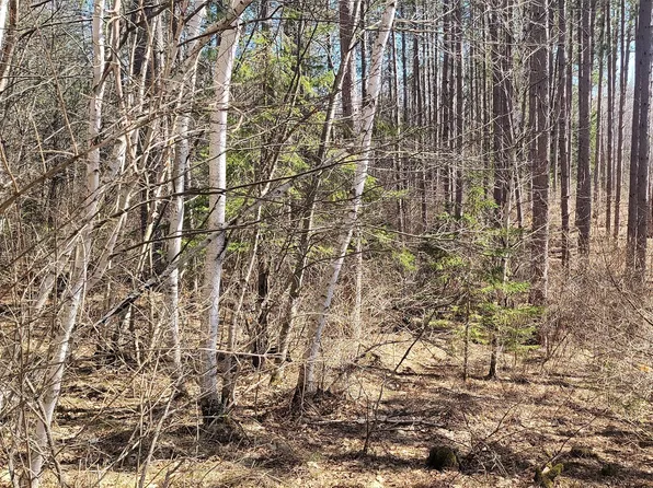 On Hunter Lake Road, Winter, WI 54896