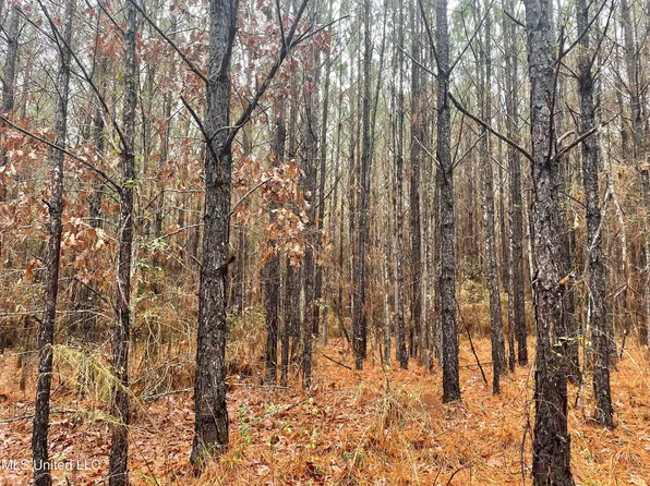 0 Little Rock County Line Rd, Union, MS 39365