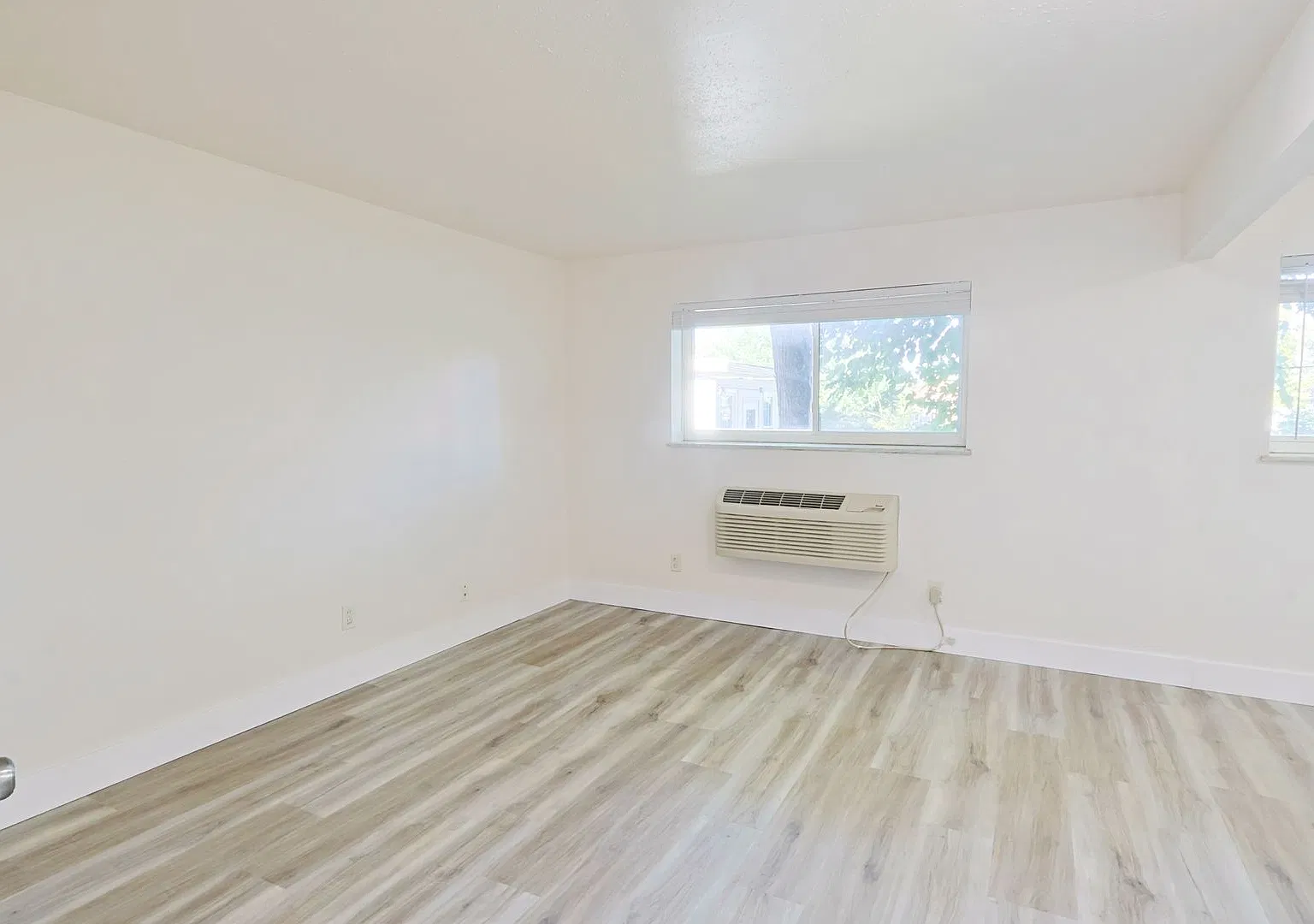 Updated 1 Bed 1 Bath — Photo 2