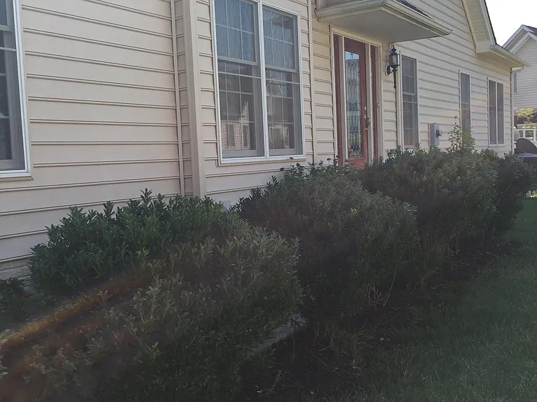 42921 Nokes Corner Ter — Photo 7