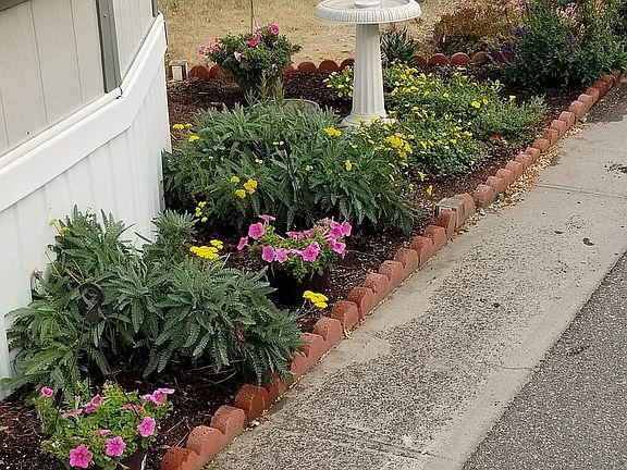 Front garden