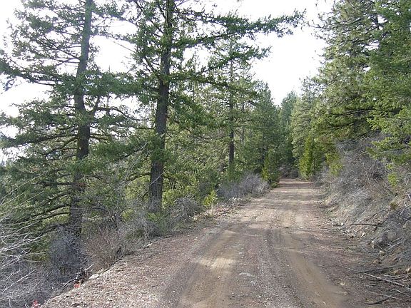 4th image of 159.4 Acres Ridge Rd