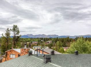 842 Mink Ln, Fraser, CO 80442